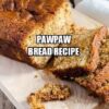 Pawpaw Bread Recipe