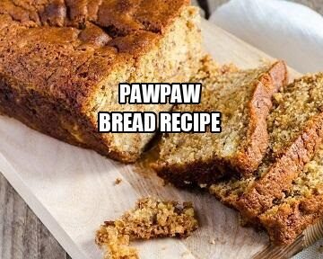 Pawpaw Bread Recipe