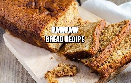 Pawpaw Bread Recipe